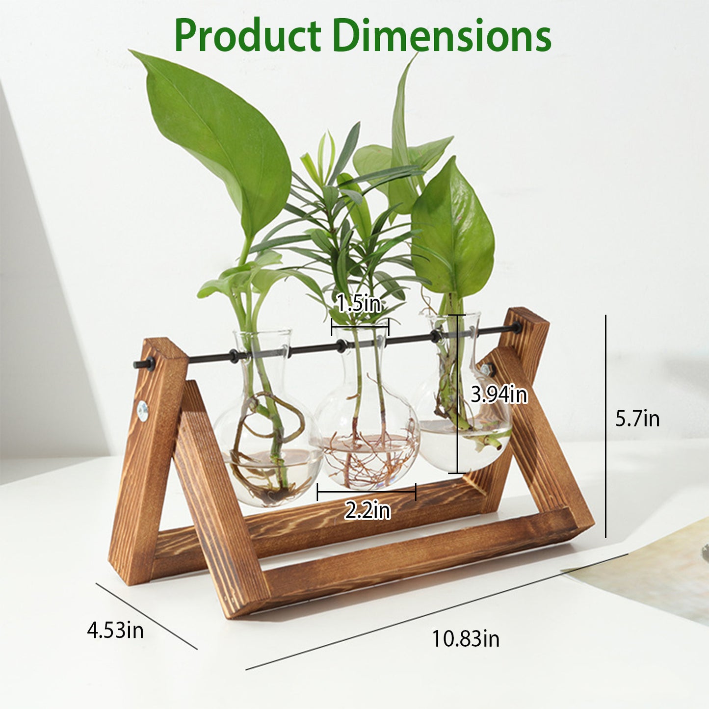 1Pc Desktop Glass Planter For Hydroponics